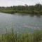 85f-p1dg7fq068gcv1mafbgi7e19i1a.jpg