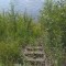 85f-p1dg7fq0691phmvdr1o941tvjf3mb.jpg