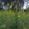 95b-p1djtq7v9e1sj310f018pduf1idc4.jpg