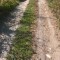 9bc-p1dledtl4edkbvj61u5s1out1c578.jpg