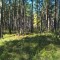 9bc-p1dledtl4eqnh5111qn8qlb1ou47.jpg