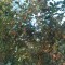 9bc-p1dledtl4f1fba1f6d17hu6ou1pk2a.jpg
