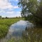 bfa-p1dgp247br1ljkv5u2djm616ir9.jpg