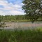 f73-p1dgp1oq5r1n9i1t0atv9132bda79.jpg