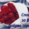 227-p1djc0lp3n1tdkgkr19mc1dse1kvn8.jpg