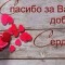 42d-p1dj4ael2cm7d1ago17m81b356to4.jpg