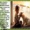 478-p1dk37llhcra8jof1svi1aloend6.jpg