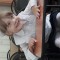 638-p1djreb80g9b7al67f91h70ubh4.jpg