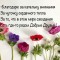 7a7-p1dkju1ejb1c5t1v3h1hrm1lehbrp6.jpg