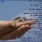 84f-p1djejegds1hujl01hi51f0q1qfu5.jpg