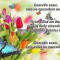 961-p1dm7lthn3ef41eifl5g12mk9f6.jpg