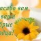 f5b-p1disk2o4o168o1vl11snuo21106b4.jpg