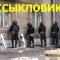 4d2-p1dil67npt8kgilj1nu716t3qat4.jpg