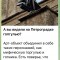 812-p1g78msmoe1g05v3nb2v15r93db5.jpeg