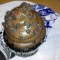 542c549562178b2560ea1f1bf2cb7396-1293896838_013_16856_turd_cakes_13.jpg