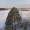 44f-p1dv39tv5518ito5aajqth410437.jpg