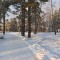 44f-p1dv39tv571tukhld1tadlf4epgb.jpg