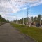 66c-p1dmqa4k3cm811ltufnvaq612p5c.jpg