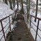 686-p1e0pmr5fc13244n81kmu1o0enp5.jpg