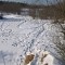 ede-p1e0pm453s12u2aam1vi81p1iijlb.jpg