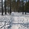 ede-p1e0pm453s1v0q1tm11s7q4riv4ma.jpg