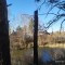 7d5-p1dn2d8baj8pg17b518c3le25tt8.jpg
