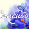 12c-p1dtj54gut1us4mup11k514hi1spt6.jpg