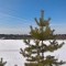 9ec-p1e2slg7ob1k3k1m54c5ss7s108a4.jpg