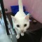d22-p1e37lg3hb121e18f0o9kic0lhq4.jpg
