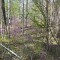 47e-p1e896oa1e1o0ch3ao71t6v1mp78.jpg