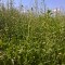 958-p1ebfv2v4gjck1h96has13vvkip8.jpg