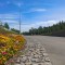 b9a-p1eea90olmkpm14pb11h8ef1n9ab.jpg