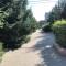fa6-p1ec976sfnc2h1mr01pjhp8g19rg4.jpeg
