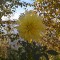 067-p1eiqgqa7rqtn107i1630eqm4h64.jpg