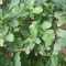 29d-p1ehm0t1ek857te41896160aid64.jpg