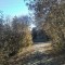 714-p1eko1aldmgl4go51aq0mo5q2ad.jpg
