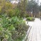 828-p1ejep6d75hr0bgn3mr1tv1bl6d.jpg