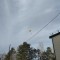 954-p1enl2f1nkpv1gkmla63rm1ndf5.jpg