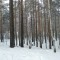 3a7-p1etoe6v3bjgpmo41l751r4qdbh4.jpg