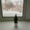 00a-p1g1fikphesbvpvfl51184t194q4.jpeg