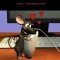 1ee-p1g93vsb7ir351gjl19cegtg1hcd4.jpeg