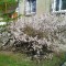 a88-p1f6ts9jro145bojs14sgroi1olr5.jpg