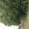 453-p1fag20vnbujm6j643ff591vn1e.jpeg