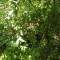 910-p1f9to4re6144r1qgo12201a2qije5.jpg