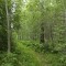 62b-p1fc133k9c1vub12ttdfgnc317tp4.jpg