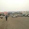 fd8-p1fcirmapkucebd7l9i9m1iqc5.jpg