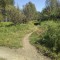 f5b-p1feean03mqoi1joe1gpt117v6j94.jpg