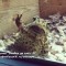 57ba13483348baaed985b3e3066681bb-s_pyatnicey.jpeg