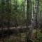 0d9-p1gkhv0bri1br0186j1e5k1n8kmif5.jpg