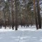 355-p1g1fifg971jg4jiv1il617571tu67.jpeg